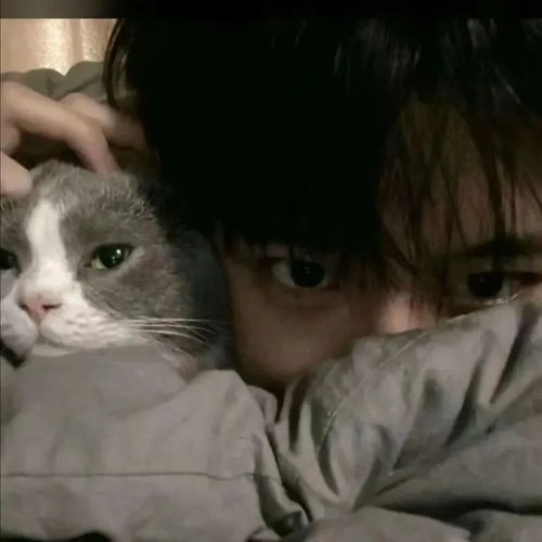 帅气抱猫男生头像