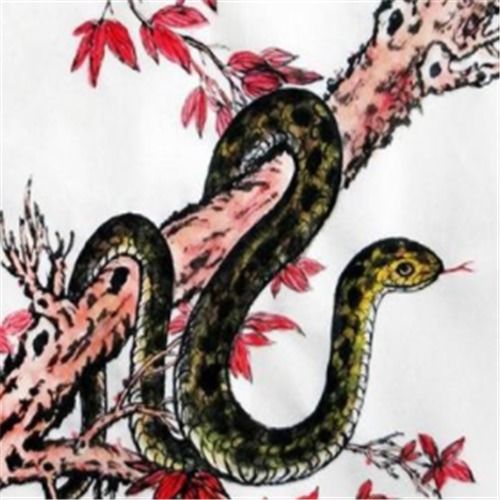 3月上旬开始,事业顺利,开启幸福生活,满面春风,事事如意的4生肖