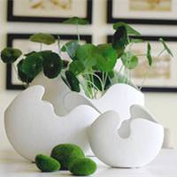 微信头像图片大全多肉植物微信头像图片大全