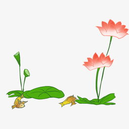 荷花边框莲花荷叶插画图片素材其他格式下载其他大全
