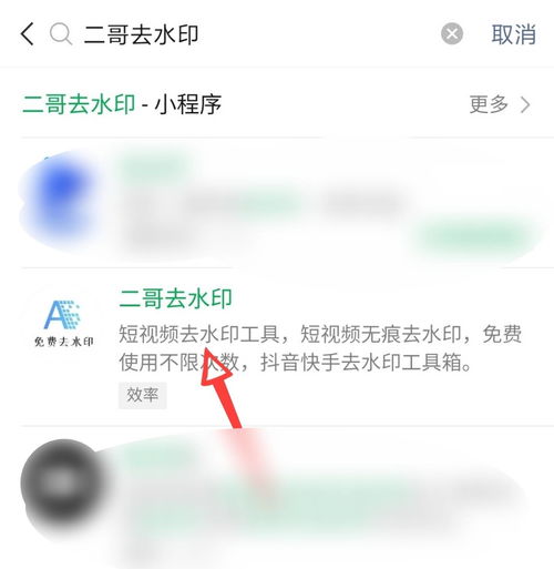 抖音快手去水印工具哪个好常用推荐哪些