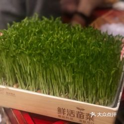 蜀大侠徐汇旗舰店的活体豌豆苗好不好吃用户评价口味怎么样上海美食活体豌豆苗实拍图片大众点评