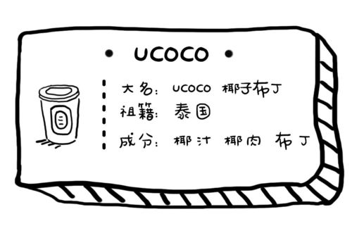 刷爆ins的泰国椰子布丁来了是个短命小可爱