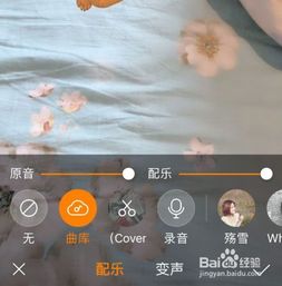抖音熊二跳舞ar特效视频怎么弄