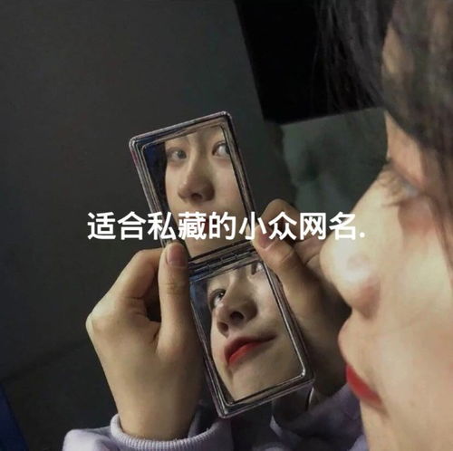 ins风小众干净网名