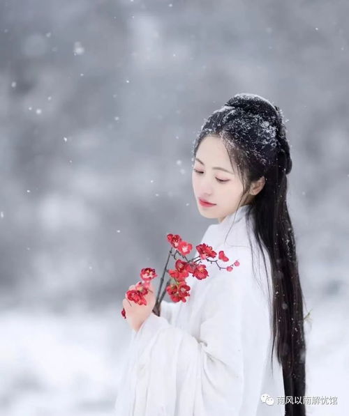 看淡.看清,都是过客