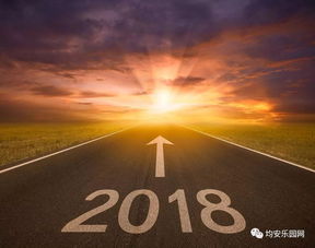 2018最火爆微信头像微信