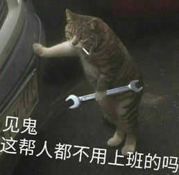年度网红颜值黑榜温婉高调回归,抖音洋娃娃变青蛙脸,张大奕脸肿了一整年