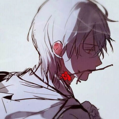 迷人的动漫男头