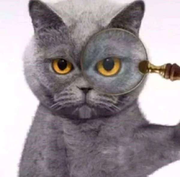 抖音霸气蓝猫竖拇指表情包图片汇总