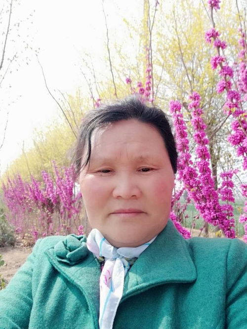 梅姐爱画画快手20多万老铁点赞的农妇画家