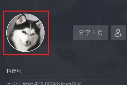 抖音透明头像,是怎样弄的