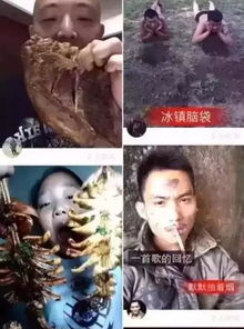 腾讯领投快手3.5亿,能否让快手摆脱low标签