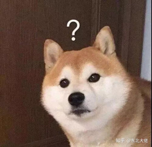 快手网红土味视频代表giao哥结婚,你有什么感受