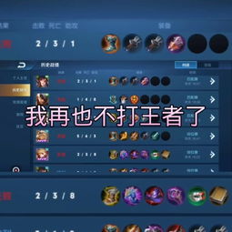 王者荣耀苏伊.快手直播
