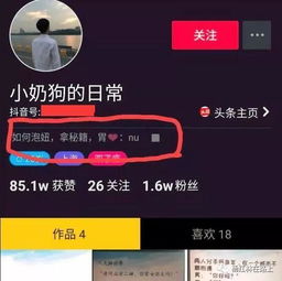 抖音怎么玩入门增粉上推荐及变现实用技巧