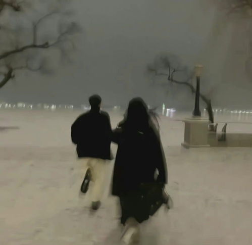 背景图平淡的日子里泛着光