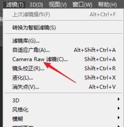 怎么从滤镜选项打开cameraraw